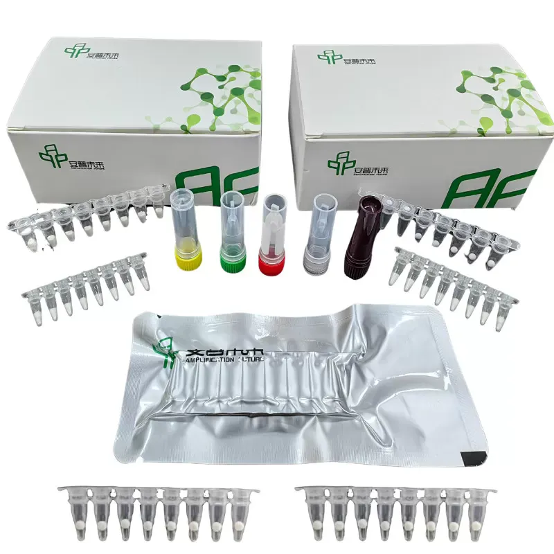 MIRA Helicobacter Pylori Fluorescence Detection Kit Rechèch Itilize sèlman